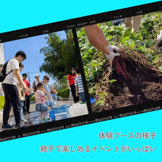 ダミーイメージ