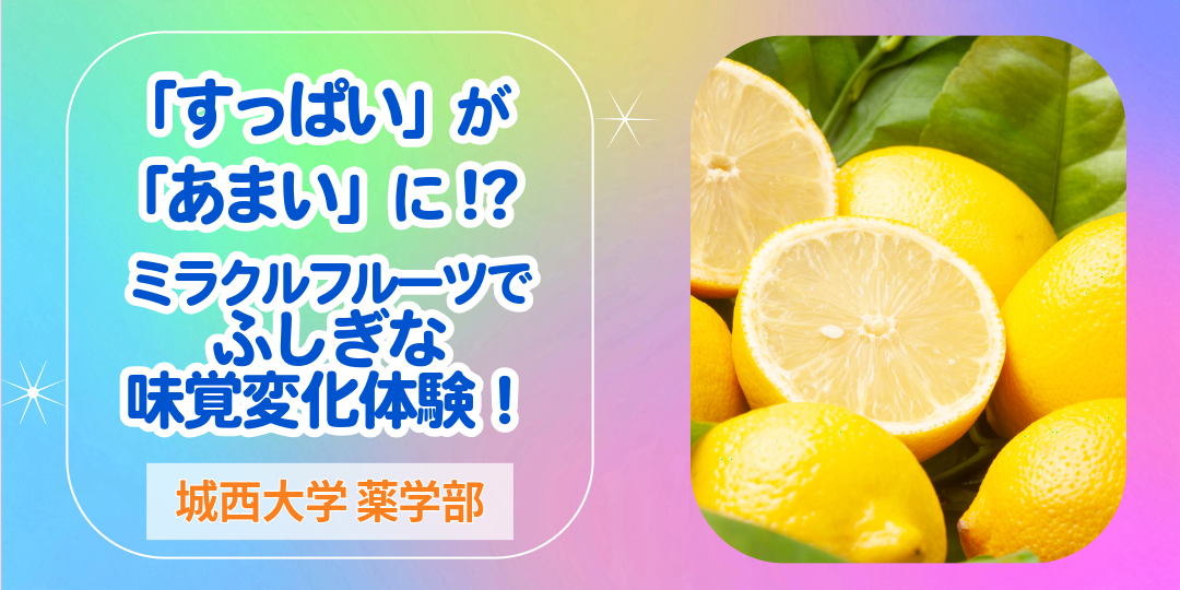 城西大学薬学部