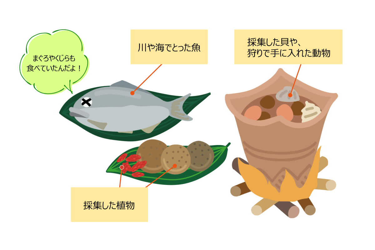 縄文時代の食事